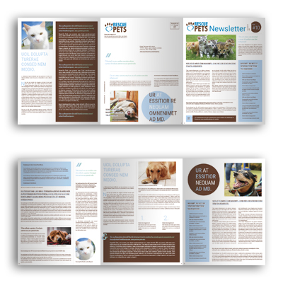 6pg Newsletter
