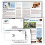 4pg Newsletter Envelope Mailer